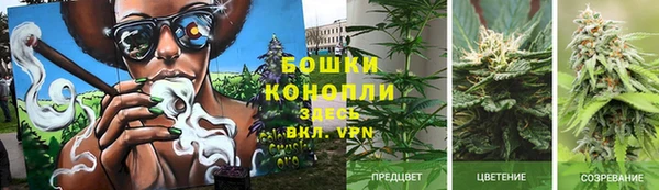 спайс Аркадак