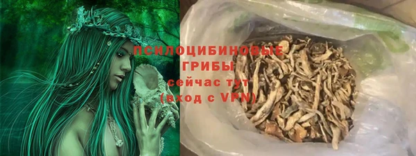 спайс Аркадак