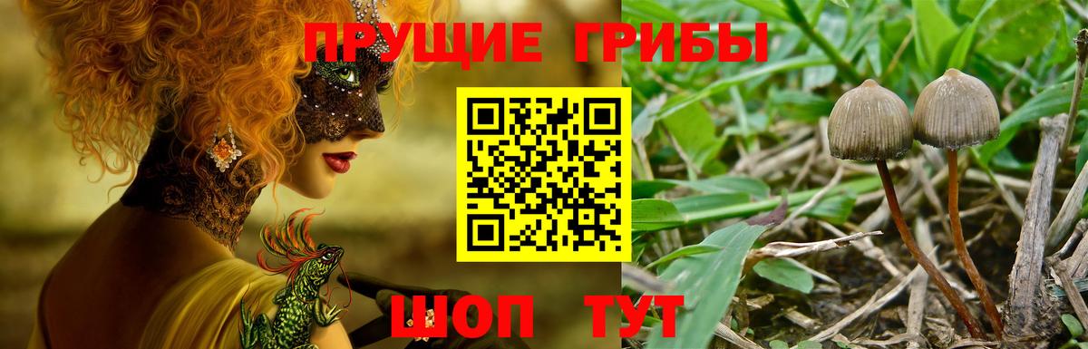 Галлюциногенные грибы ЛСД Ульяновск